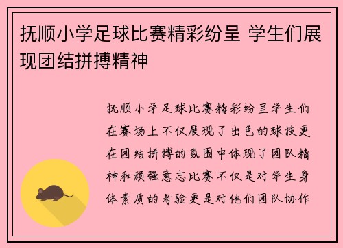 抚顺小学足球比赛精彩纷呈 学生们展现团结拼搏精神
