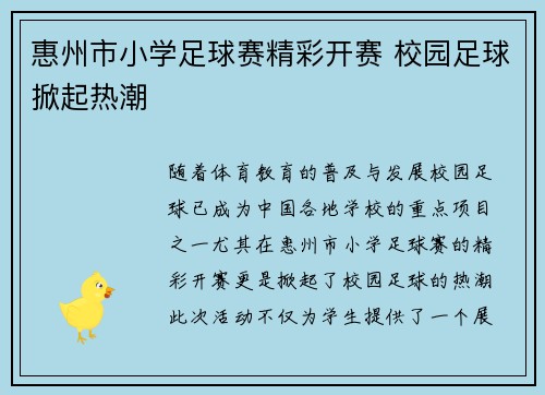 惠州市小学足球赛精彩开赛 校园足球掀起热潮