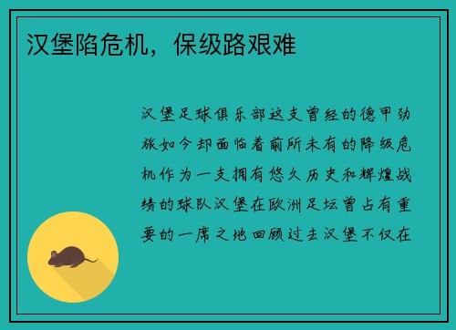汉堡陷危机，保级路艰难