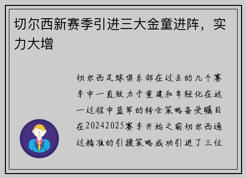 切尔西新赛季引进三大金童进阵，实力大增