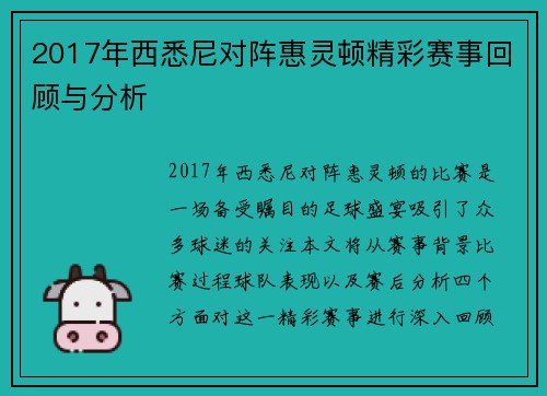 2017年西悉尼对阵惠灵顿精彩赛事回顾与分析
