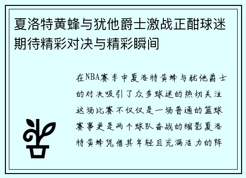 夏洛特黄蜂与犹他爵士激战正酣球迷期待精彩对决与精彩瞬间