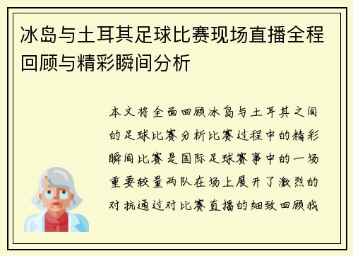 冰岛与土耳其足球比赛现场直播全程回顾与精彩瞬间分析
