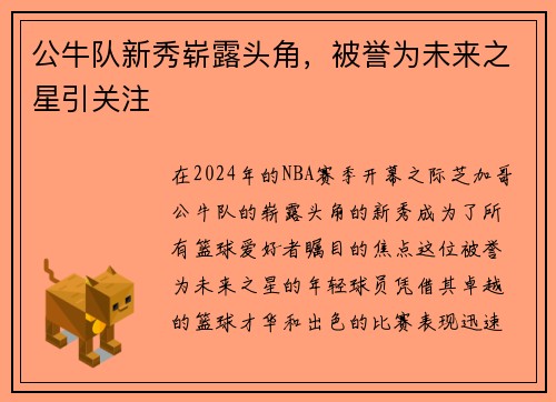 公牛队新秀崭露头角，被誉为未来之星引关注
