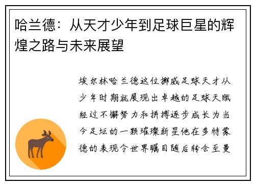 哈兰德：从天才少年到足球巨星的辉煌之路与未来展望